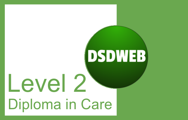 Level 2 Diploma in Care - DSDWEB